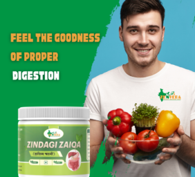 zen veda zindagi zaiqa