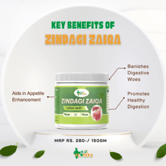 best gut health supplement