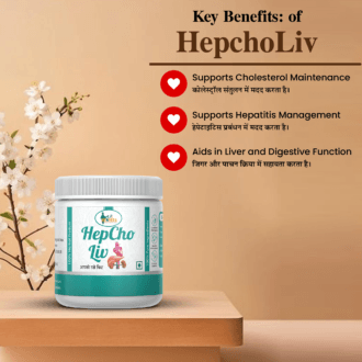 liver detox tablets ayurvedic